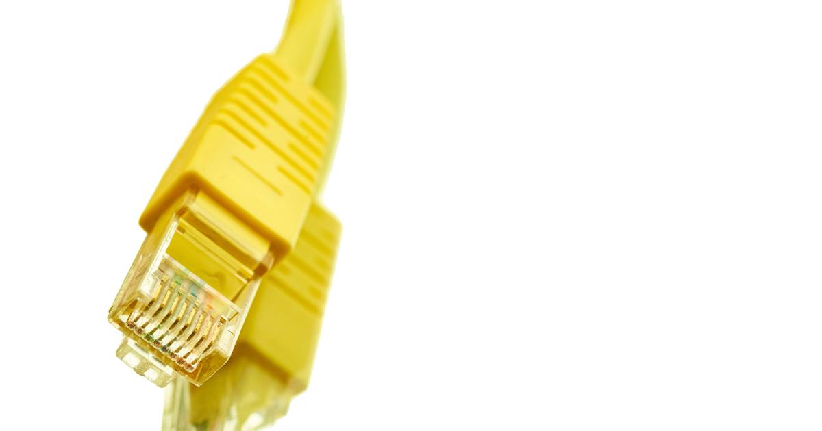 Close-up of a yellow Ethernet network cable and its RJ45 plug against a white background